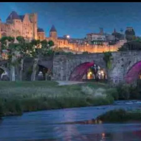 Appartement T2 Avec Vue Chateau Carcassonne Exteriér fotografie