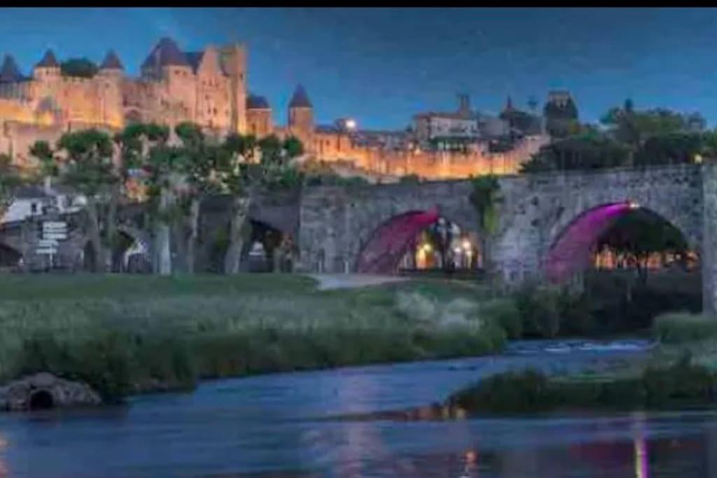 Appartement T2 Avec Vue Chateau Carcassonne Exteriér fotografie