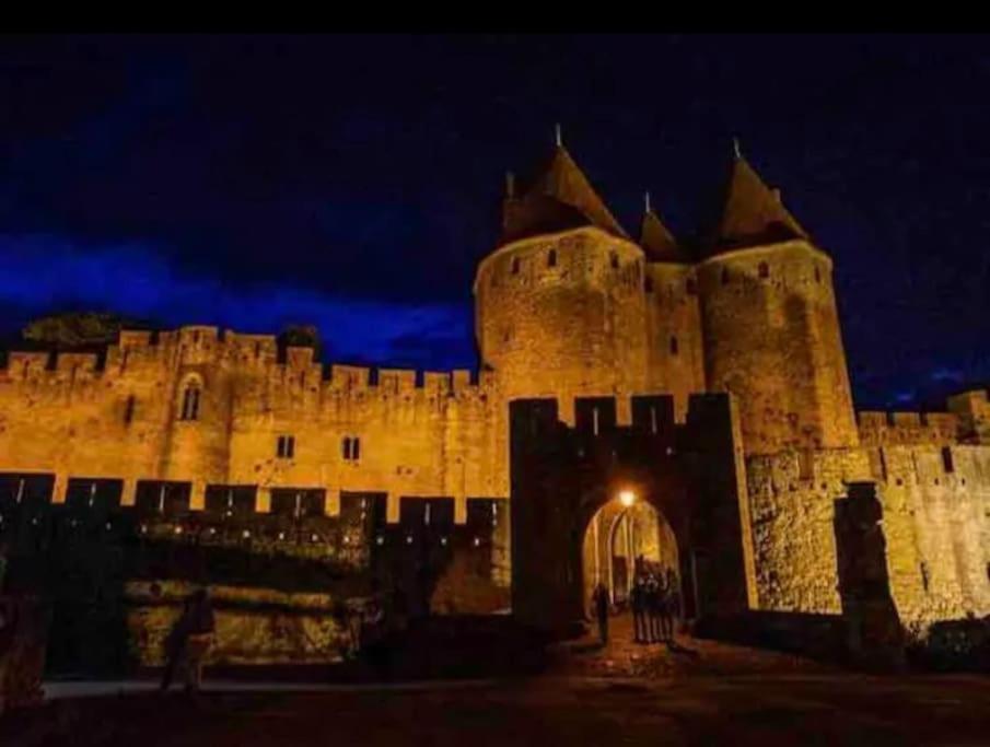 Appartement T2 Avec Vue Chateau Carcassonne Exteriér fotografie