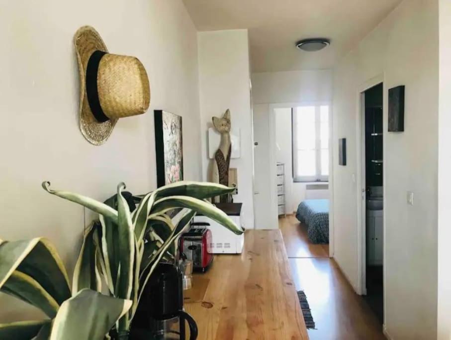 Appartement T2 Avec Vue Chateau Carcassonne Exteriér fotografie