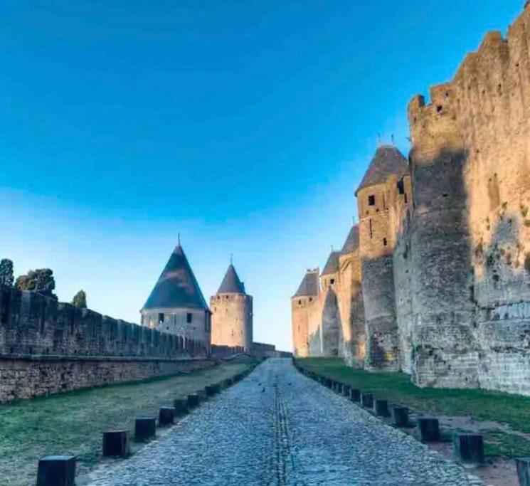 Appartement T2 Avec Vue Chateau Carcassonne Exteriér fotografie
