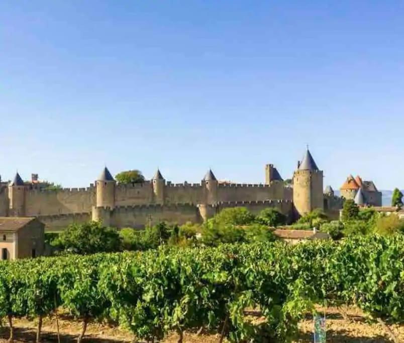 Appartement T2 Avec Vue Chateau Carcassonne Exteriér fotografie